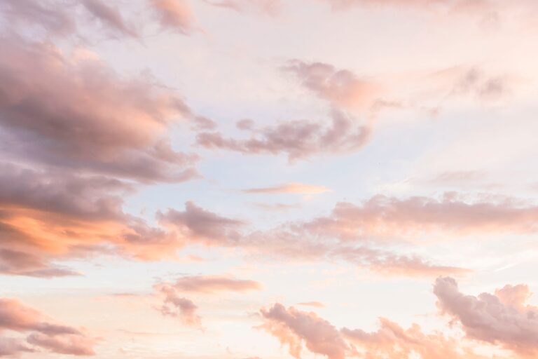 davies-designs-studio-_UCVrH-ZIIg-unsplash