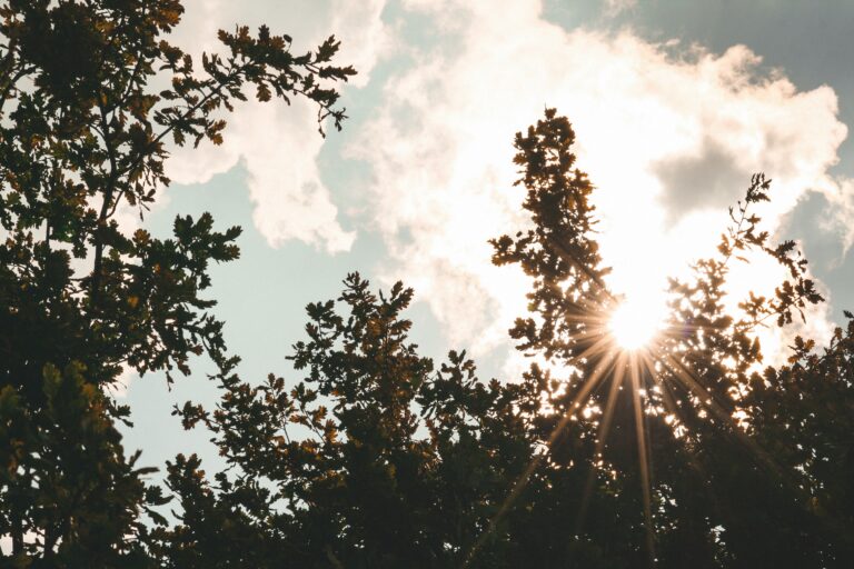 tina-xinia-yyXYhQZeitc-unsplash